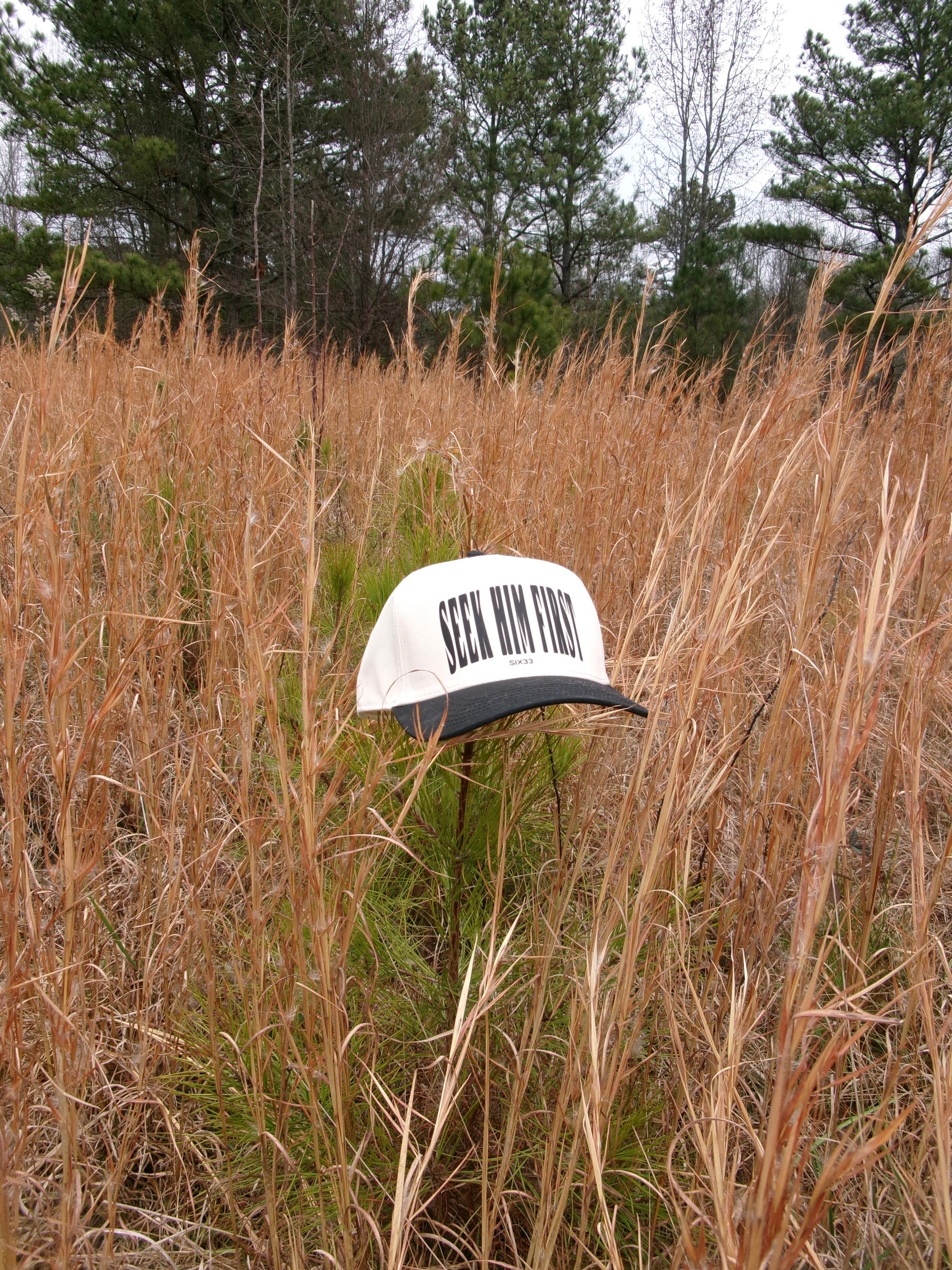 "Seek Him First" Hat